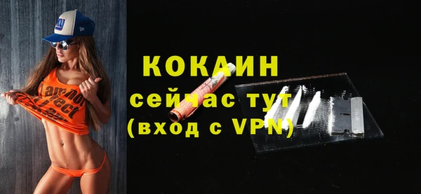 твердый Кулебаки