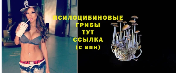 ГАЛЛЮЦИНОГЕННЫЕ ГРИБЫ Куйбышев