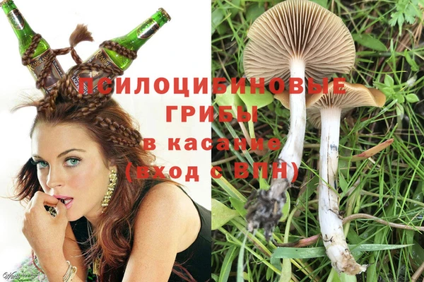 твердый Кулебаки