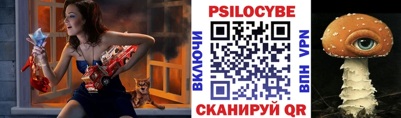 где найти наркотики  shop клад  Галлюциногенные грибы прущие грибы  Тамбов 